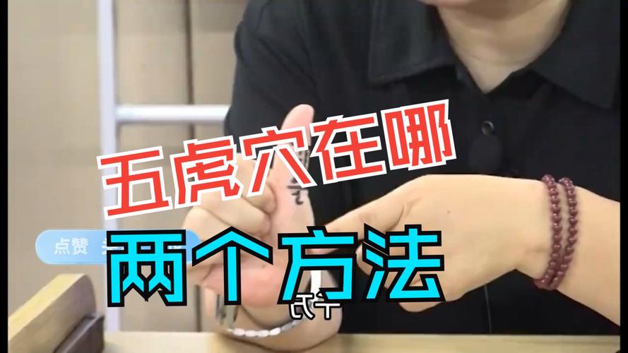 三国志9打老虎位置大揭秘，新手也能轻松找到！