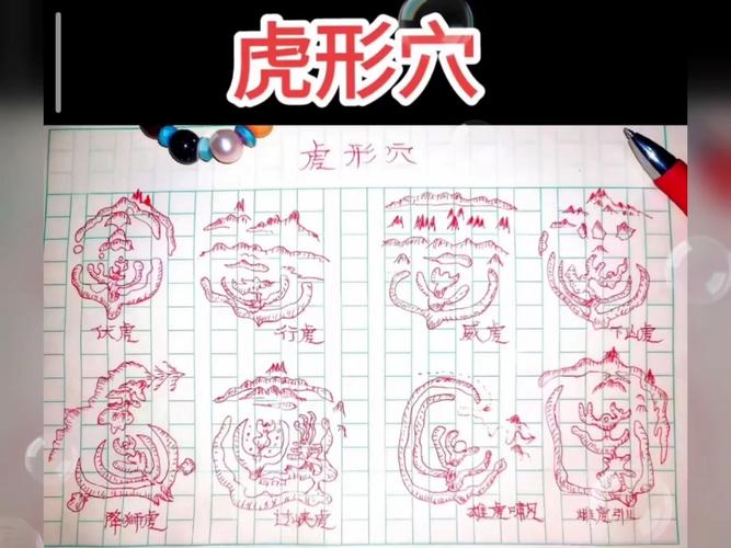 三国志9打老虎位置大揭秘，新手也能轻松找到！